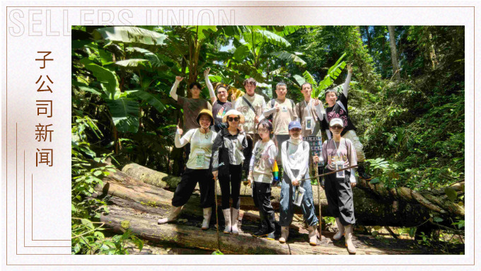 探雨林秘境，與森林同呼吸——記優(yōu)景公司年中西雙版納團建旅游